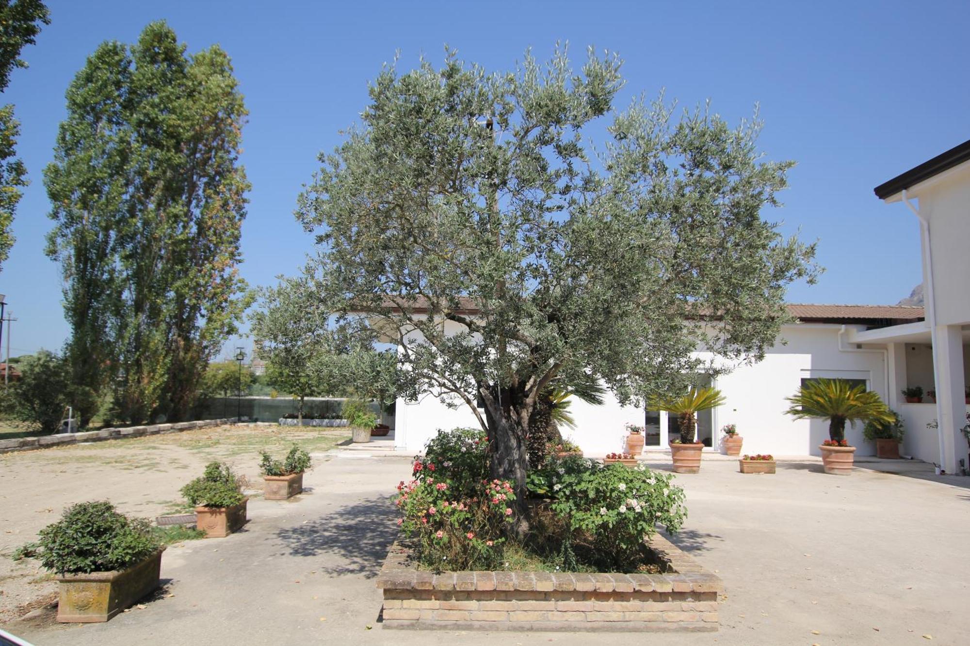 Villa Capodacqua Castrocielo Zewnętrze zdjęcie