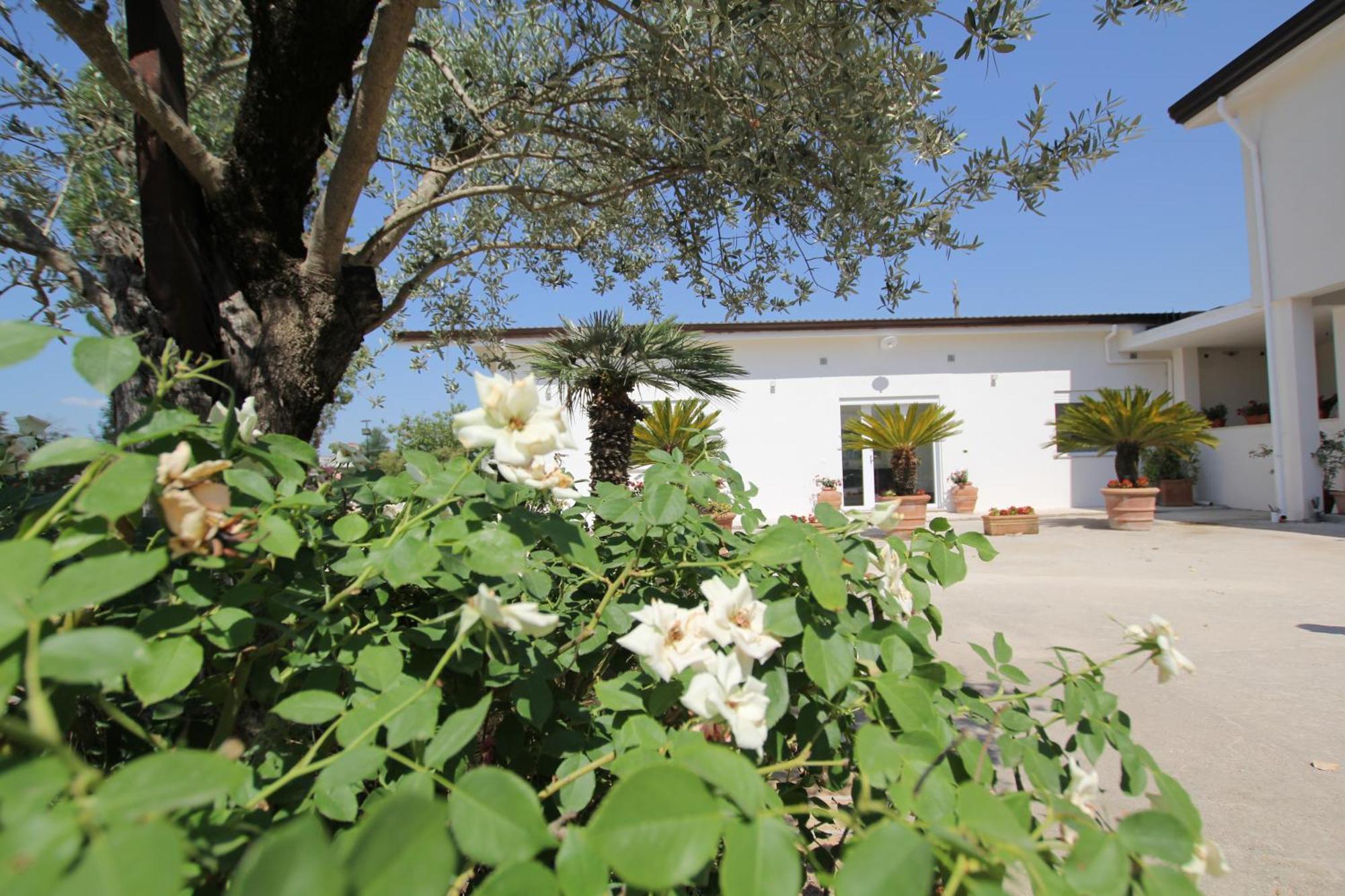 Villa Capodacqua Castrocielo Zewnętrze zdjęcie